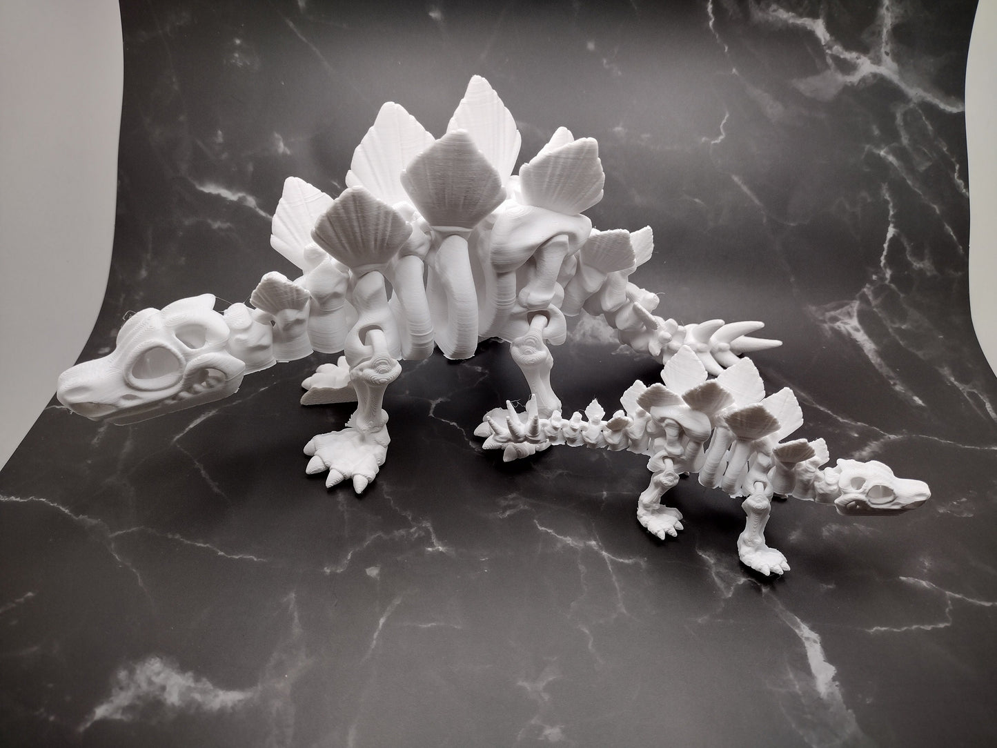3d Stegosaurs Skeleton Custom Color - Print to Order 3d Printed Dinosaur Bones
