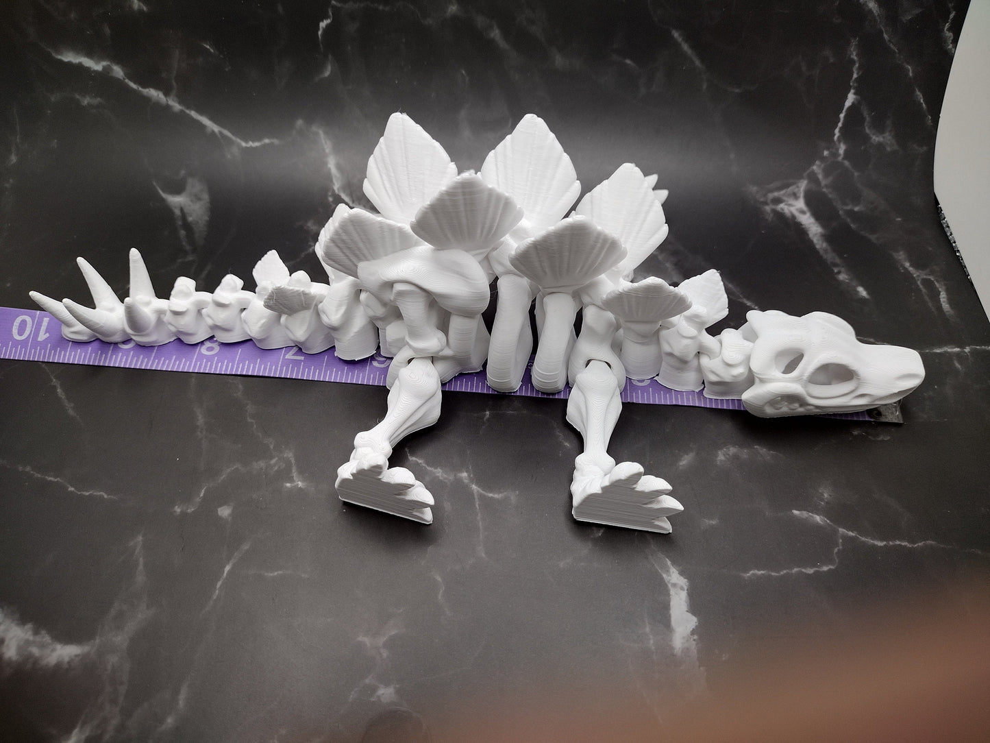 3d Stegosaurs Skeleton Custom Color - Print to Order 3d Printed Dinosaur Bones