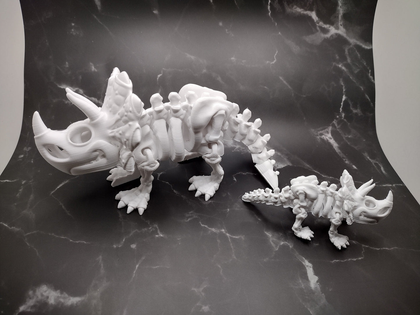3d Triceratops Skeleton Custom Color - Print to Order 3d Printed Dinosaur Bones