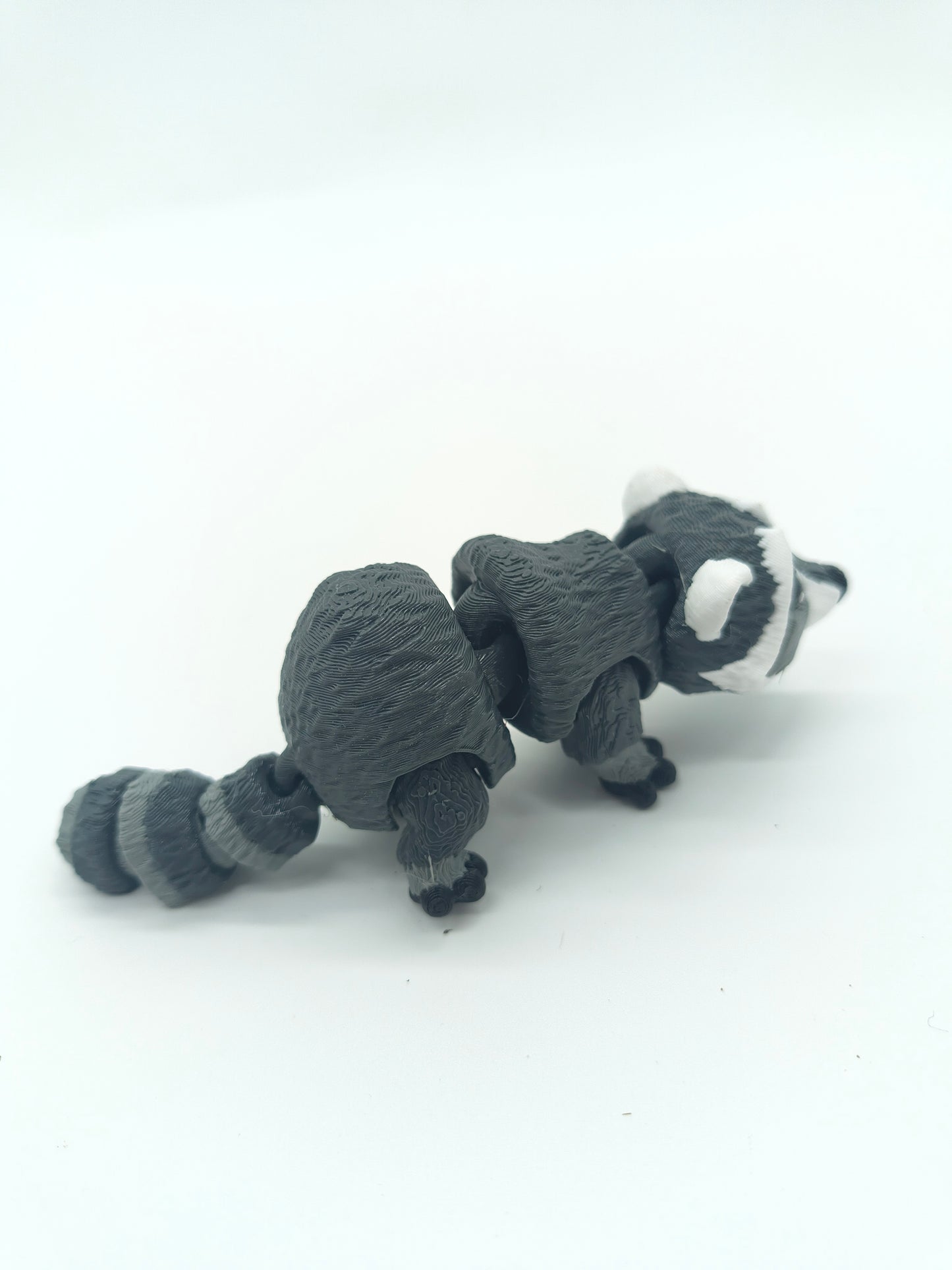 Raccoon