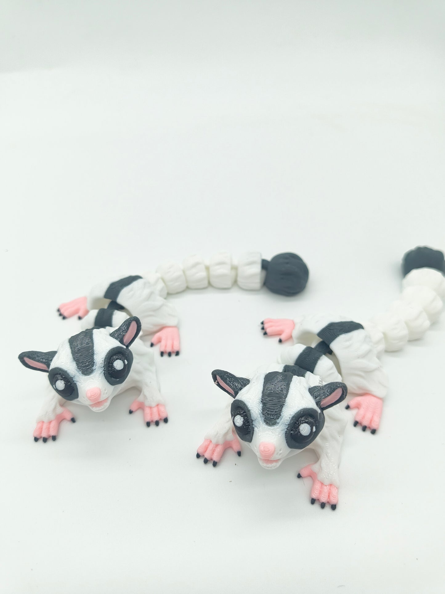 Sugar Glider