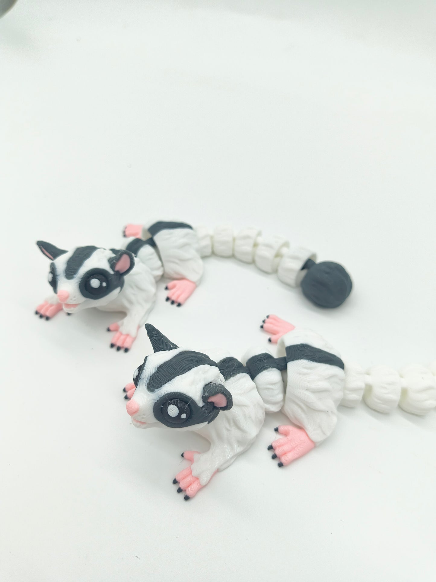 Sugar Glider