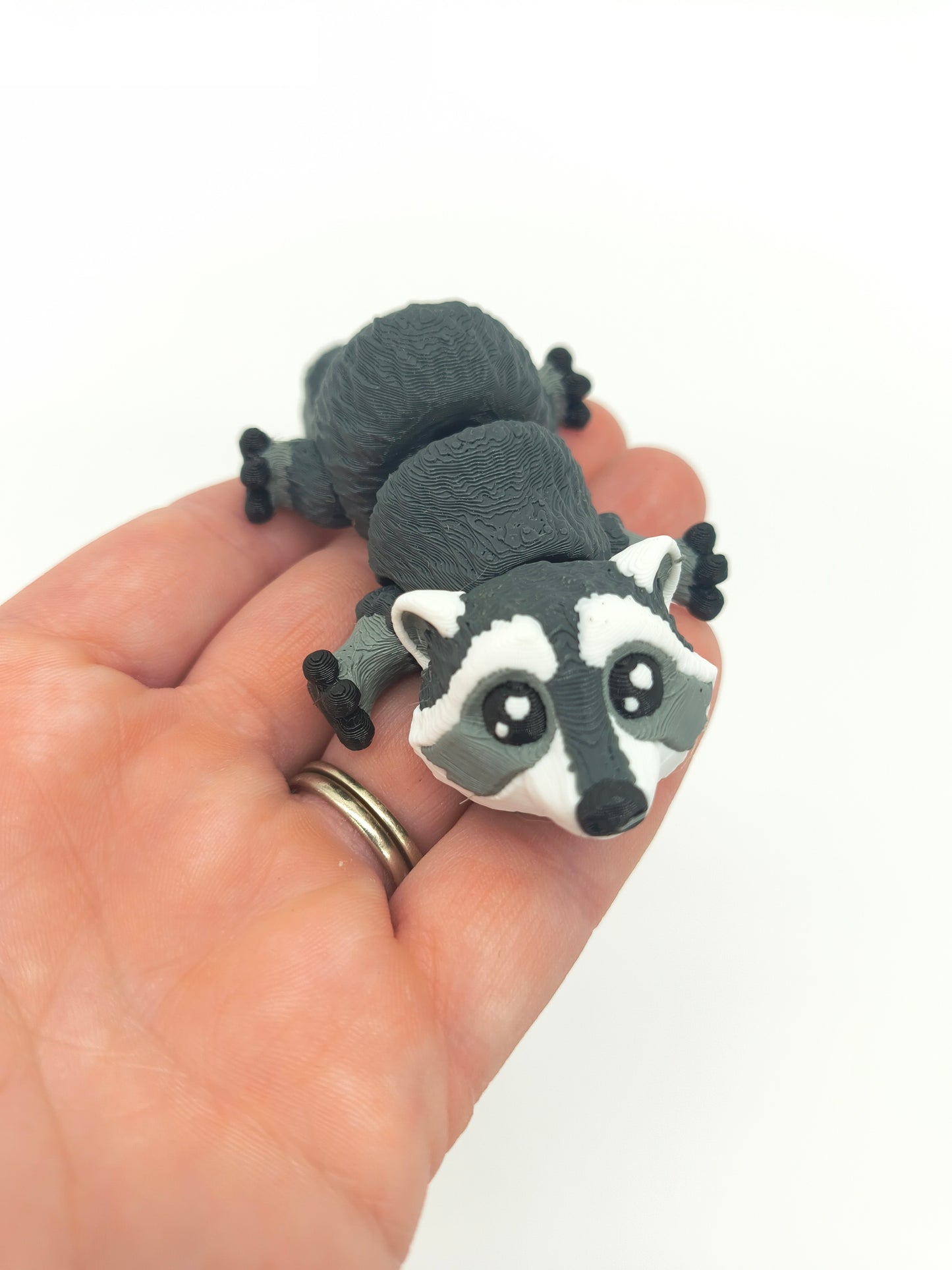 Raccoon