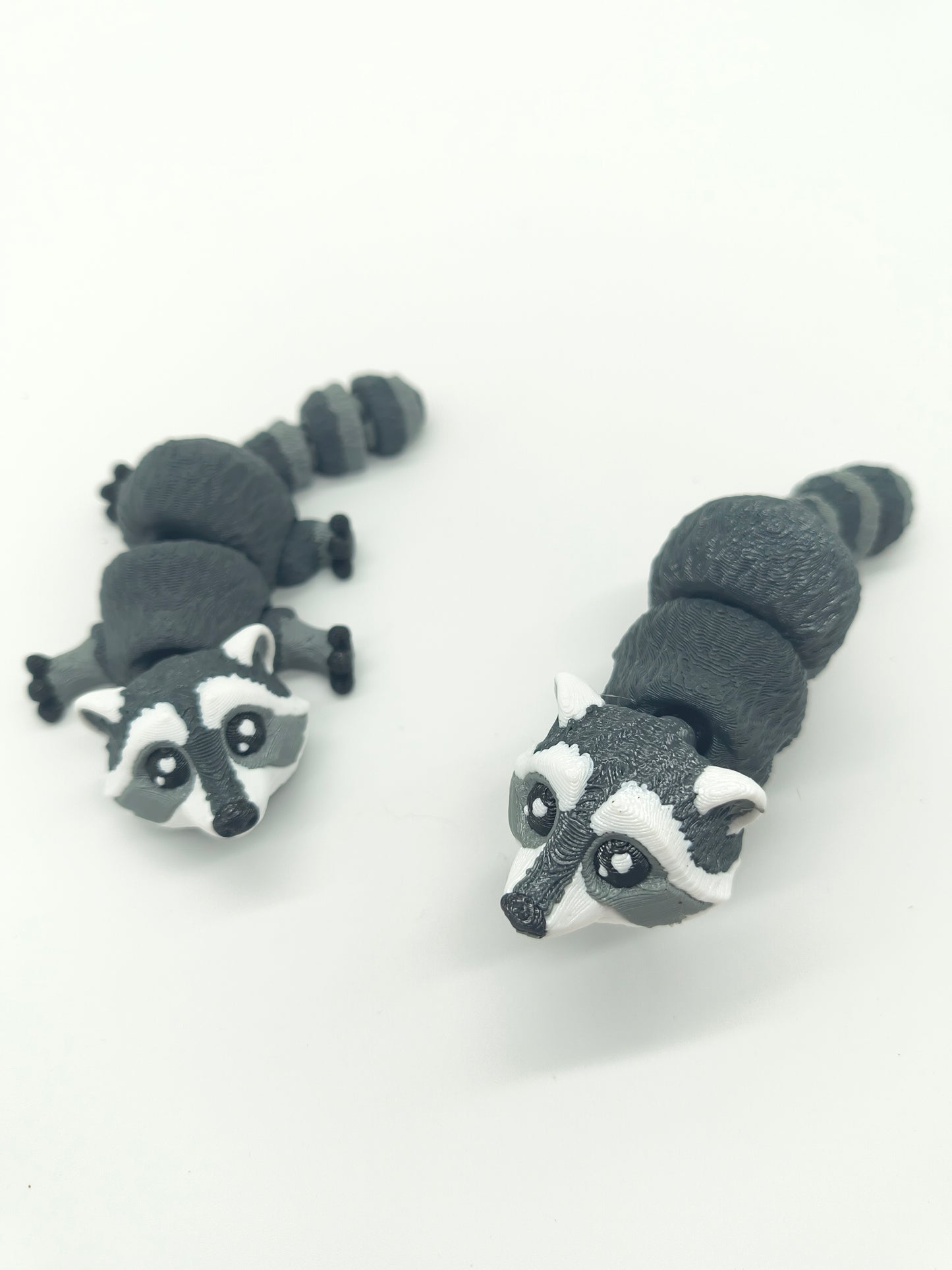Raccoon