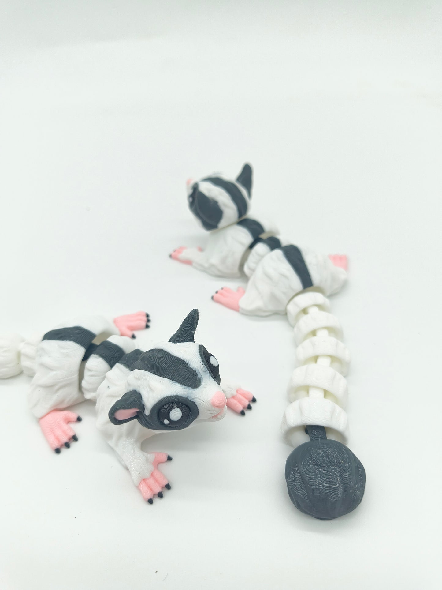 Sugar Glider