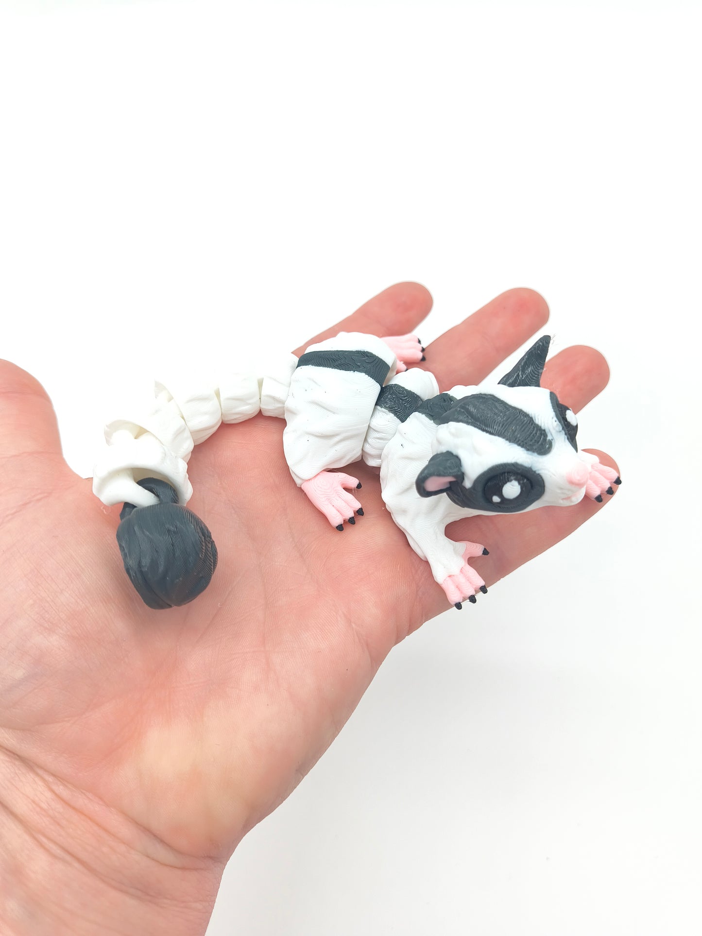Sugar Glider
