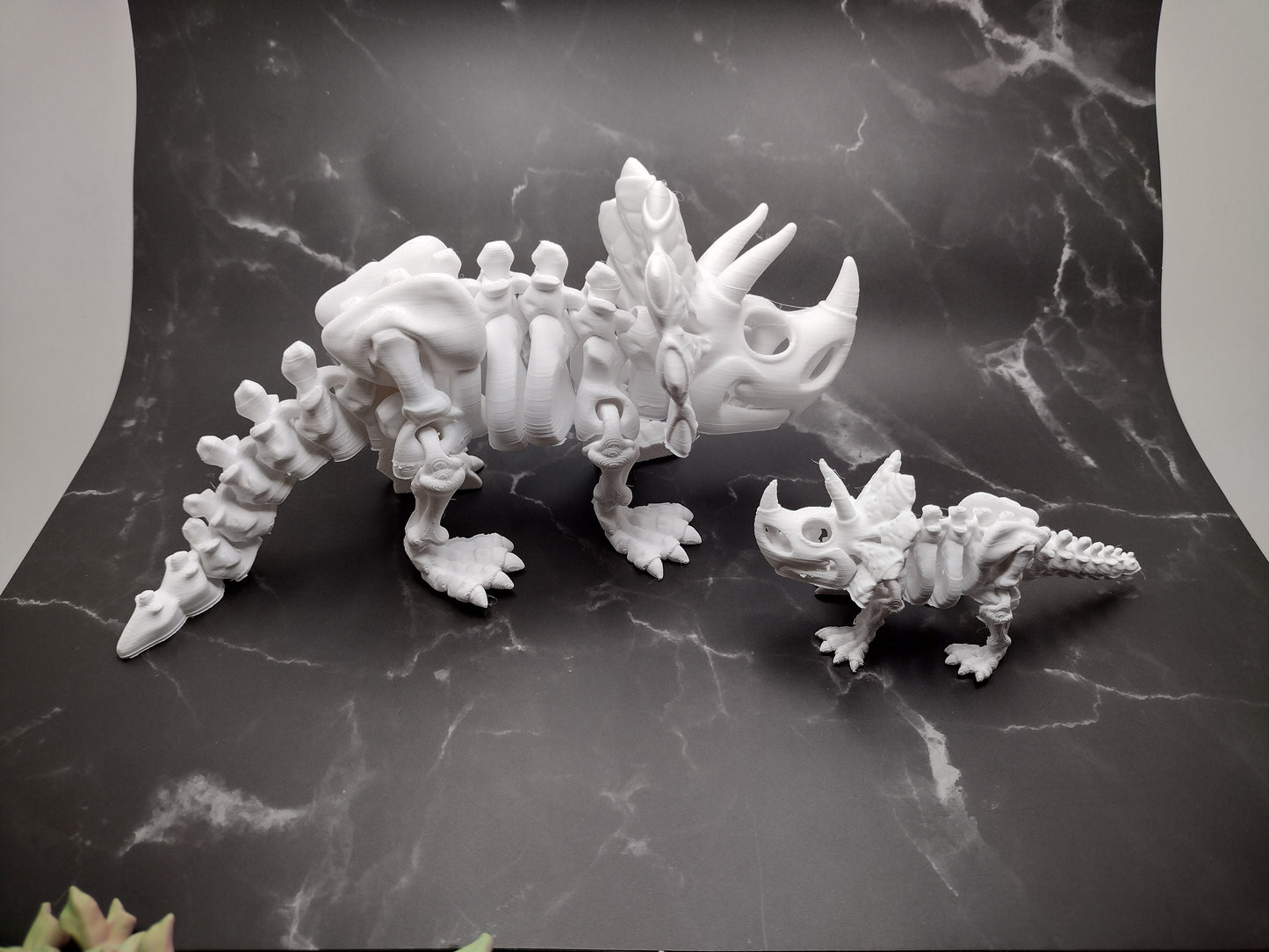 3d Triceratops Skeleton Custom Color - Print to Order 3d Printed Dinosaur Bones