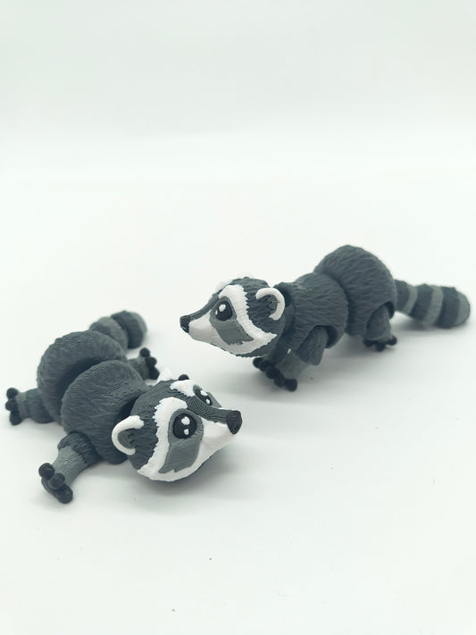 Raccoon