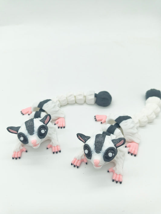 Sugar Glider